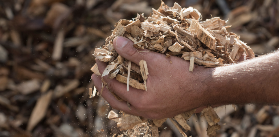 02_Kollektionen/Lösungen